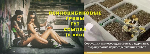 кокаин премиум Арсеньев