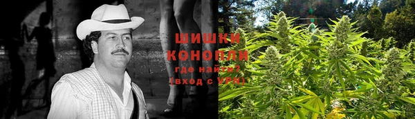 круглые Аркадак